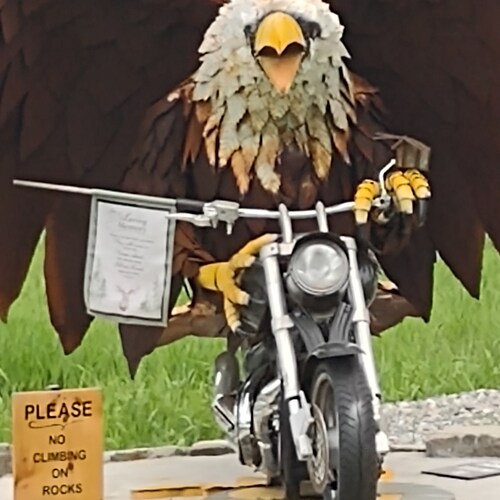 retired pro america anti dem commies. support the blue.