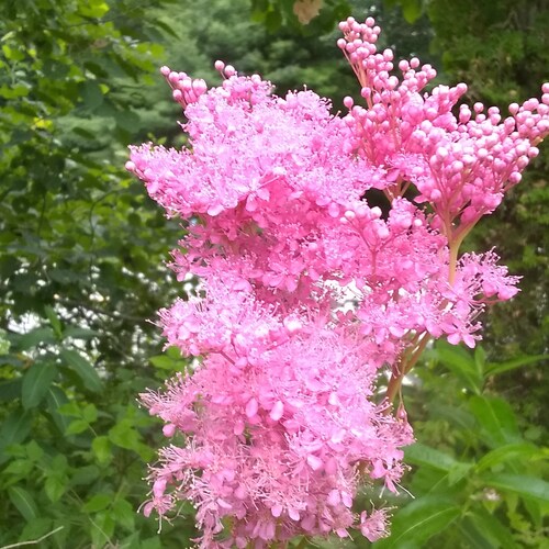 God, Family, Country