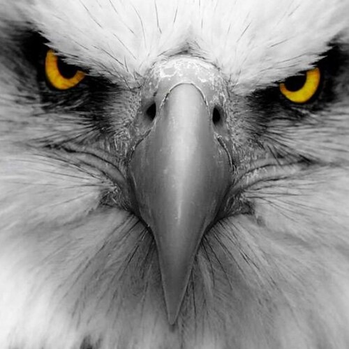 ...That makes us Frens