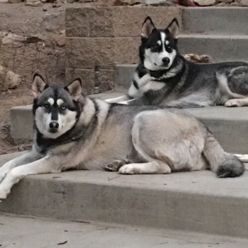 Christian, ,Patriot, Wife, Mother, Grandmother, Navy Brat, Retired 911 Operator. MAGA from day one (the day of the escal...