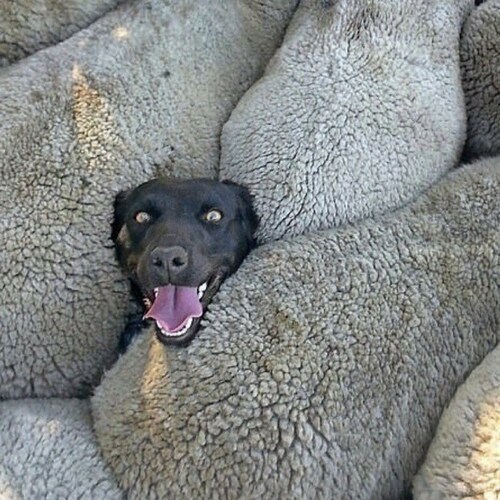 Visit StingerJo's profile on GETTR. View their posts, photos, videos, and connect with them on the social platform.