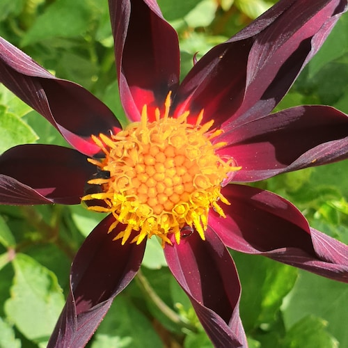 The further a society drifts from the truth, the more it will hate those who speak it.