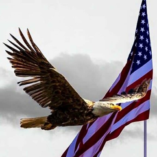 God, Family, Country and The Packers.  Pronouns: Shut up.     We know They know We know...Trump won.