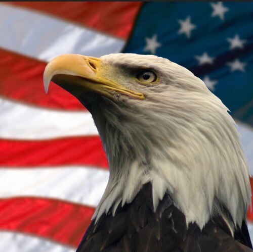 Freedom. Sovereignty. America First. #1A. #2A. IFBAP.