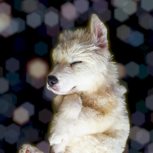 Crypto, politics, culture.