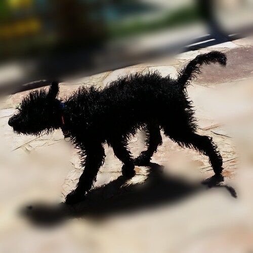 Think for yourself. Take responsibility. Test assertions. Weigh conflicts of interest.
Sometimes (mostly) for my own amu...