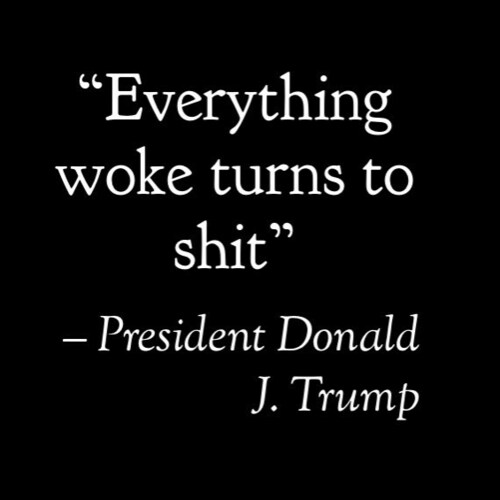 Patriot
Fact Finder
Truth Seeker
Occasional Shit Talker
