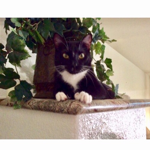 PATRIOT🇺🇸GOD🇺🇸FAMILY 🇺🇸COUNTRY🇺🇸SUPPORT OUR VETS🇺🇸POLICE🇺🇸MILITARY🇺🇸AMERICA FIRST🇺🇸MAGA. LETS GO BRANDON...