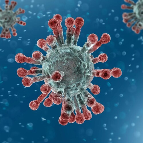 Turn your necessities into delicacies | Austin, Texas | NetSuite Consulting | Buckeyes