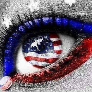 Independent thinker, Patriot, Freedom matters, U.S.A 🇺🇸🇺🇸🇺🇸 ❤ 2A. Lover We must stand against all forms of Tyranny