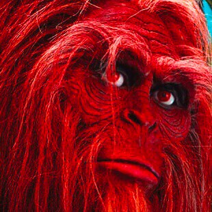 Hello pitiful humans, I’m a 7’9” mythical creature in the woods by your house. I’ve been eluding you for centuries. Love...