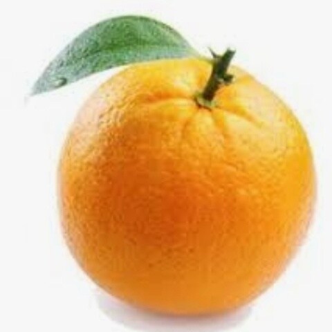 Visit RobinProf's profile on GETTR. View their posts, photos, videos, and connect with them on the social platform.