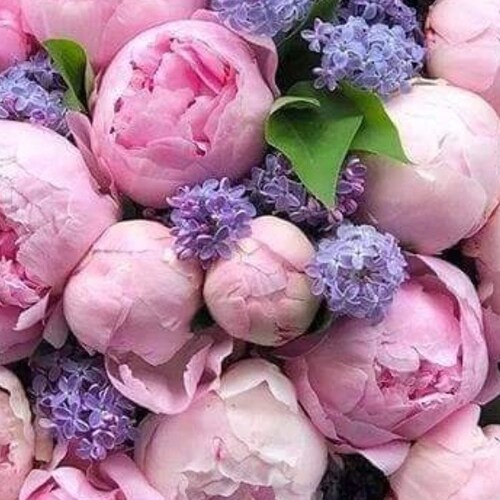 Wife, Mother of 5, Grandma