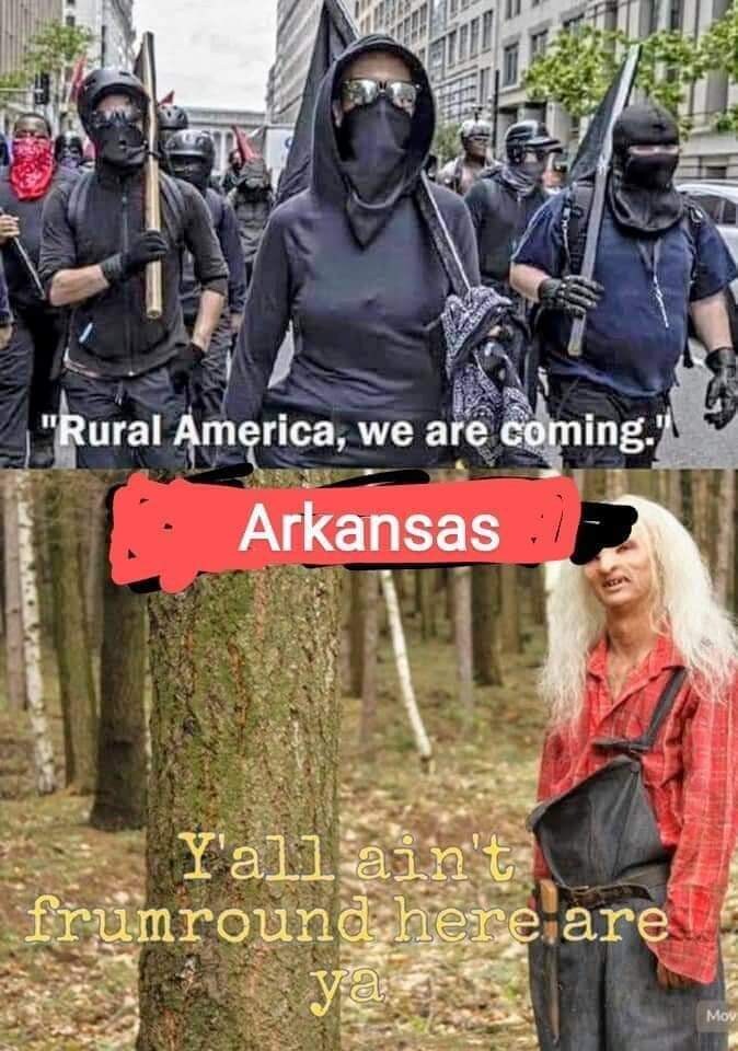 Bring it beta males,females.