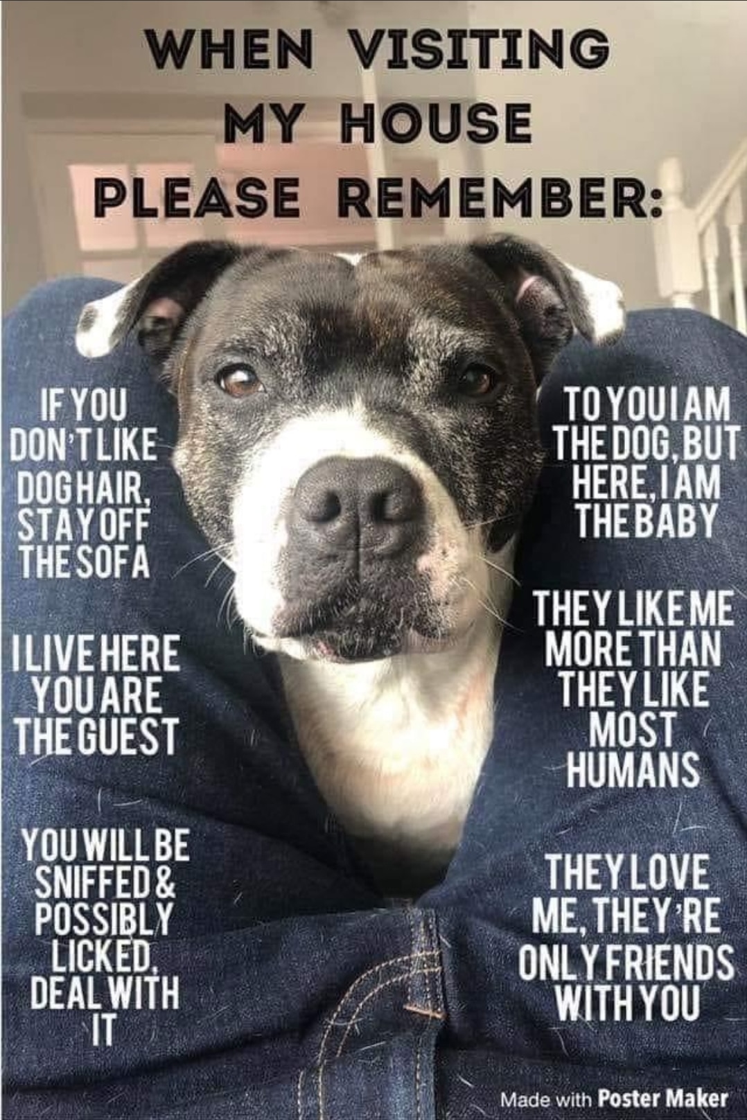 View LARRY_O 🍊 🚛 🇺🇸's post on GETTR. Join the discussion, share your thoughts, and connect with the community.