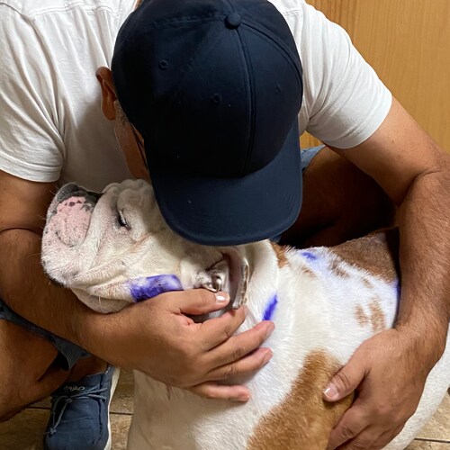 Visit edgarbst's profile on GETTR. View their posts, photos, videos, and connect with them on the social platform.