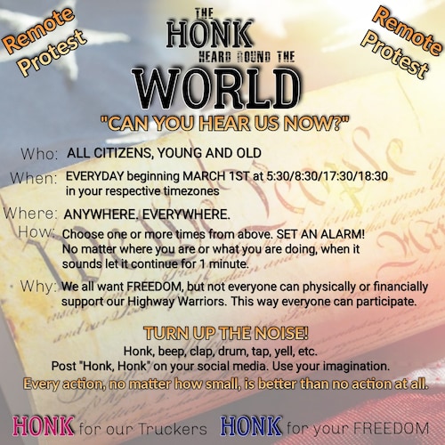 American Wife, Mother, Author