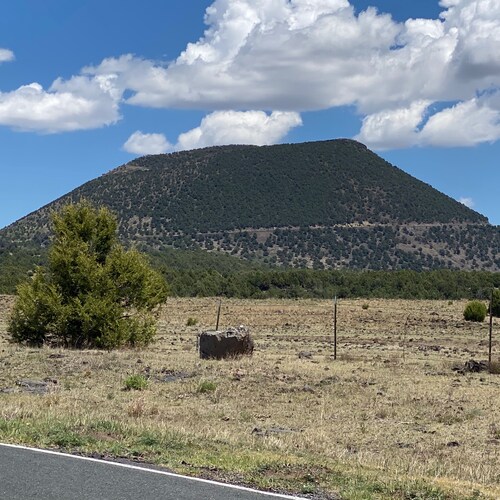 Alabama boy trying to make it in the world today.