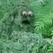 She comes a little later... https://thehill.com/opinion/white-house/480523-is-hillary-clinton-anglin...