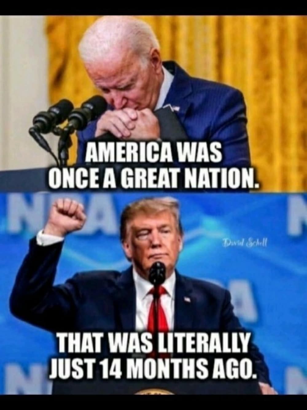 🇺🇲President Trump did more for this Nation in 48 months than Joe Biden did in 48 years. And then j...