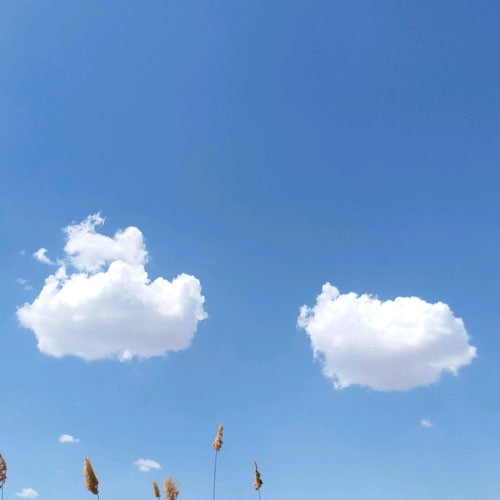 小鬼篡位登凌霄，袴下伸爪取V標，刪除賬戶除異己，豬媚欲博中共笑！
爾等莫賭七哥出不了MDC！