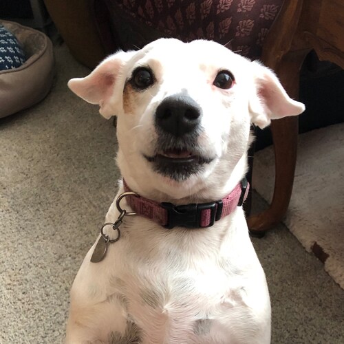 Navy Veteran, Christian, The Love of Freedom, 🇺🇸🇺🇸🇺🇸🇮🇱🦅🦅🍊🍊1A👍🏻2A👍🏻3,4,5,6,7,8,9,10A👍🏻❤️✝️❤️🙏🏻❤️⛪️❤️�...