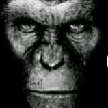 Visit Domingos Fogaça's profile on GETTR. View their posts, photos, videos, and connect with them on the social platform.