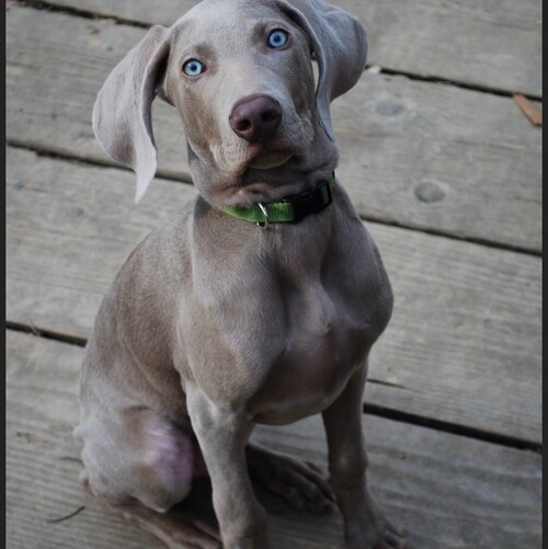 Crooks will be exposed soon in AZ. Biggest crime ever in the USA!🇺🇸