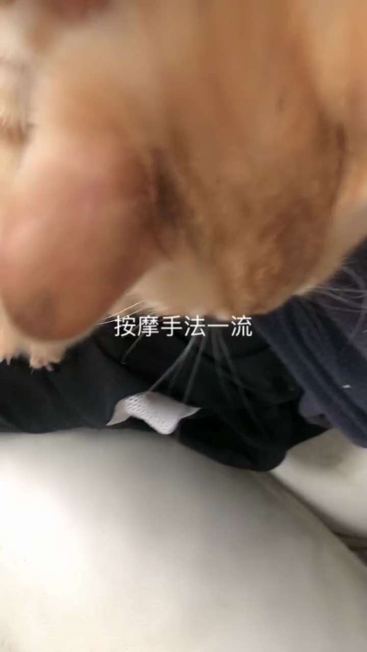 View waterich's post on GETTR. Join the discussion, share your thoughts, and connect with the community.