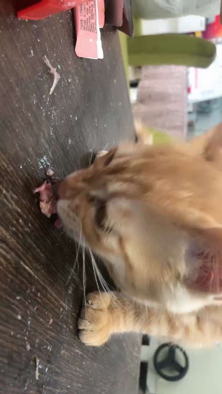 View waterich's post on GETTR. Join the discussion, share your thoughts, and connect with the community.