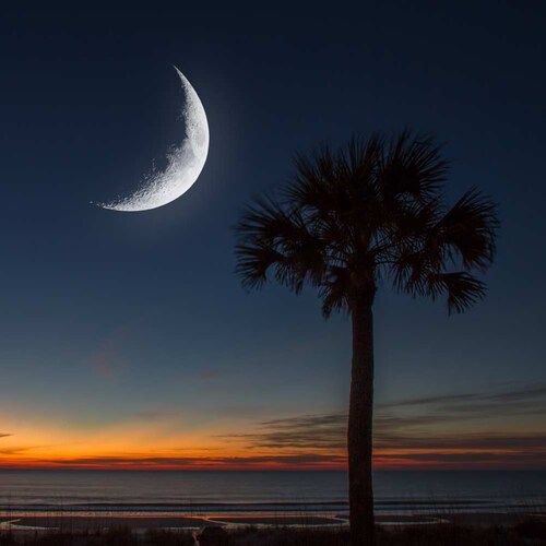 "When the people are afraid of the govt, that's tyranny. But when the govt is afraid of the people, that's liberty." Tho...