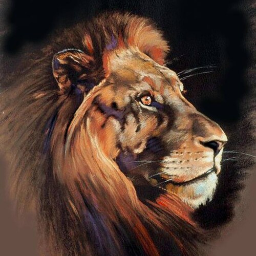 InformationOmnivore, MAGA, BackTheBlue, 1A, 2A, Wife, Mom, GrMom, PittieMom, PitBullRescue, Pro-Israel, VoraciousReader,...