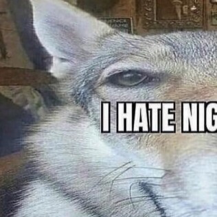 Visit ADEKBATA's profile on GETTR. View their posts, photos, videos, and connect with them on the social platform.