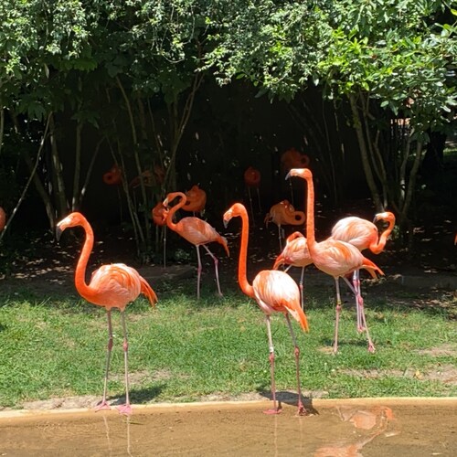 Married to my soul mate with 4 children, 2 grand-babies and 2 fur pups!