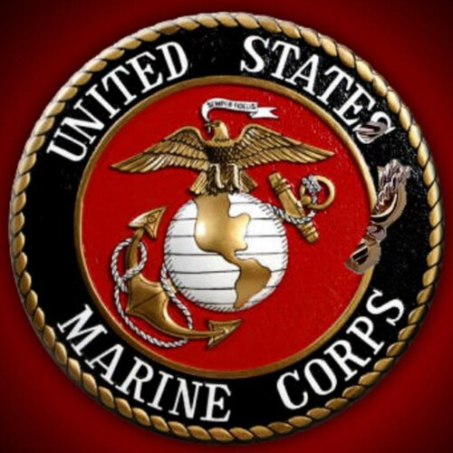 MARINES FOR TRUMP / MAGA / FULL FORENSIC AUDITS / DEVOLUTION / SAVE AMERICA / CONSTITUTION / 1776