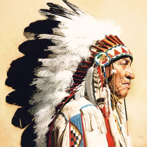 Native American Pride