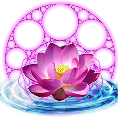 Fractal Life Health