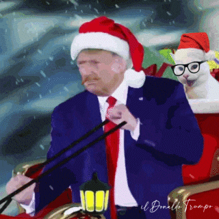 ALREADY ON THAT BEAUTIFUL CHRISTMAS MOOD!!!🥳🥳🥳🎄🎄🎄