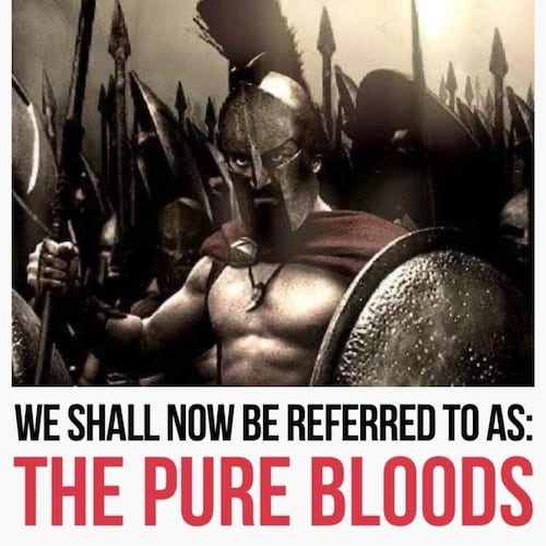 When fascism, pedophilia, forced vaccinations become normal, 
being a revolutionary is a duty.
Proud member of the LGB/FJB community.