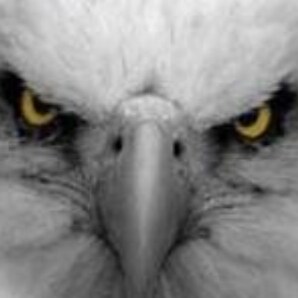 Rodeo Clown and Professional Peanut Boiler