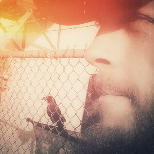 Maskless, vaxless, Commiefornia antigen.
The author appreciates: the immune system, free speech, biological gender and e...