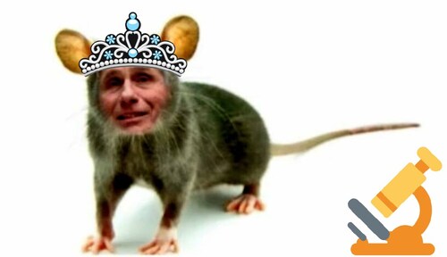 Did the Veritas/Fauci drop happen yet?