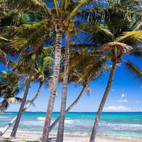 Visit IsaBelle59's profile on GETTR. View their posts, photos, videos, and connect with them on the social platform.