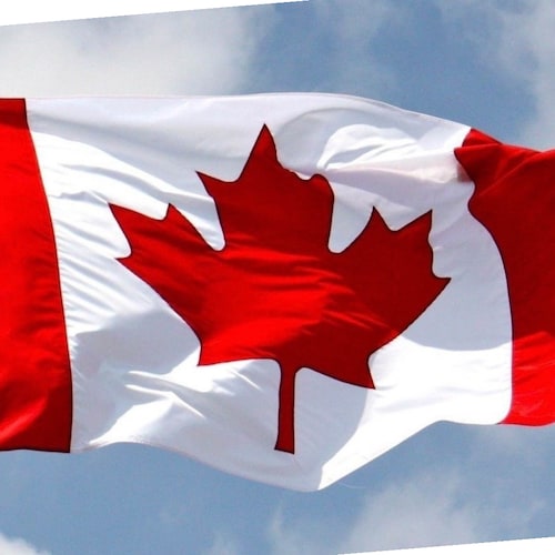 Artist & Canadian Veteran.