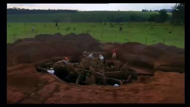 Incredible!! Ants! Nature's Secret Power 👇