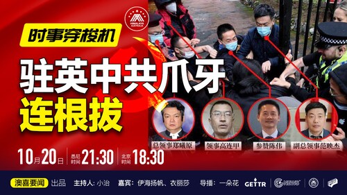 # 时事穿梭机 
驻英中共爪牙连根拔