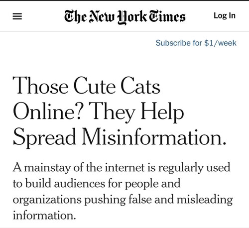 RT @Brick_Suit: Why does the New York Times fear @catturd2?  