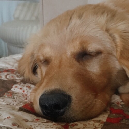 Visit crane's profile on GETTR. View their posts, photos, videos, and connect with them on the social platform.