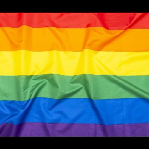 Main LGBTQ community in the GETTR