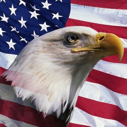 Libertarian. Firm believer in our United States Constitution. Democrats/RINOs are dividing/destroying this country.